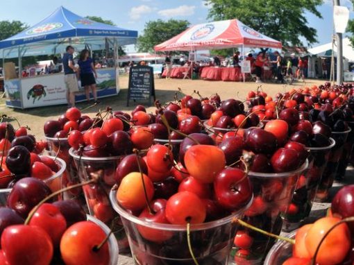 Ficksburg Cherry Festival